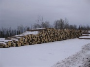 ctl-logs