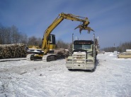 log-yard