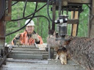 sawmill1